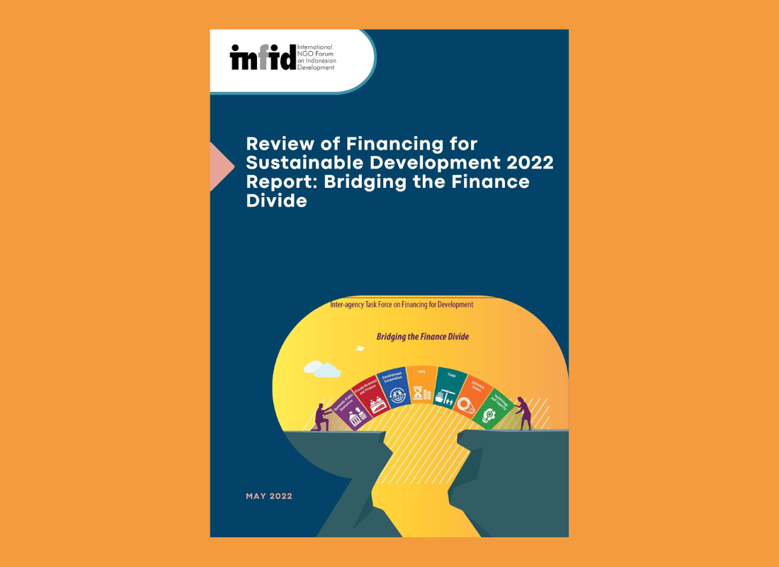 Review of Financing for Sustainable Development 2022 Report: Bridging the Finance Divide